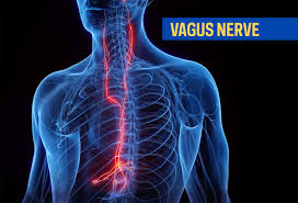 The vagus nerve: practical use without the hype